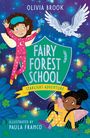 Olivia Brook: Fairy Forest School: Starlight Adventure, Buch