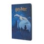 "Harry Potter" steht oben. Eine Illustration zeigt eine Eule, die über ein Schloss fliegt, im Hintergrund ein Vollmond.