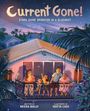 Neesa Bally: Current Gone!, Buch