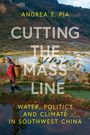 Andrea E Pia: Cutting the Mass Line, Buch
