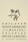 D. Andrew Johnson: Enslaved Native Americans and the Making of Colonial South Carolina, Buch
