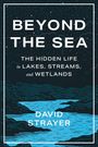 David Strayer: Beyond the Sea, Buch