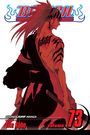 Tite Kubo: Bleach, Vol. 73, Buch