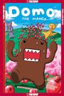 Clint Bickham: Domo, Buch