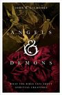 John R Gilhooly: Angels & Demons, Buch