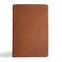 : CSB Men's Daily Bible, Brown Genuine Leather, Buch