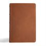 : CSB Men's Daily Bible, Brown Genuine Leather, Indexed, Buch