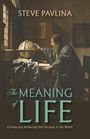 Steve Pavlina: The Meaning of Life, Buch