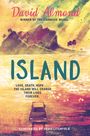 David Almond: Island, Buch