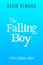 David Almond: The Falling Boy, Buch