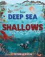 Ben Hubbard: From Deep Sea to Shallows: The Story of Oceans, Buch