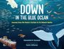 Gianumberto Accinelli: Down in the Blue Ocean, Buch