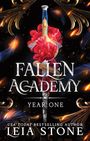 Leia Stone: Fallen Academy: Year One, Buch