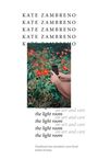 Kate Zambreno: The Light Room, Buch