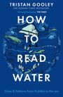 Tristan Gooley: How to Read Water, Buch