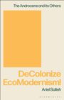 Ariel Salleh: Decolonise Ecomodernism!, Buch