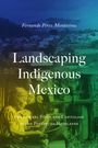 Fernando Pérez-Montesinos: Landscaping Indigenous Mexico, Buch