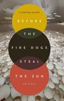 Crystal Mun-Hye Baik: Before the Fire Dogs Steal the Sun, Buch