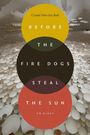 Crystal Mun-Hye Baik: Before the Fire Dogs Steal the Sun, Buch