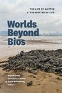 „Worlds Beyond Bios“, „The Life of Matter & The Matter of Life“, Sophie Chao, Christine J. Winter, David Schlosberg (Hrsg.). Im Vordergrund Strand mit Muschelhaufen, im Hintergrund Skyline bei bewölktem Himmel.