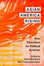 : Asian America Rising, Buch