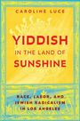 Caroline Luce: Yiddish in the Land of Sunshine, Buch