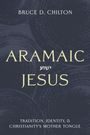 Bruce D. Chilton: Aramaic Jesus, Buch