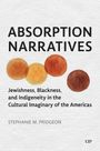 Stephanie M Pridgeon: Absorption Narratives, Buch