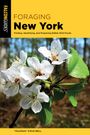 Brill: Foraging New York, Buch