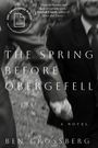 Ben Grossberg: The Spring Before Obergefell, Buch