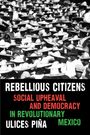 "REBELLIOUS CITIZENS. SOCIAL UPHEAVAL AND DEMOCRACY IN REVOLUTIONARY MEXICO. ULICES PIÑA." Menschenmenge mit Hüten.