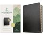 New Living Translation: NLT Life Application Study Bible, Third Edition, Black, Buch