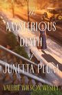 "The Mysterious Death of Junetta Plum" von Valerie Wilson Wesley. Eine Frau mit Koffer steht auf einer beleuchteten Straße.