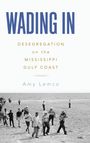 Amy Lemco: Wading in, Buch