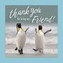 Grace Peterson: Thank You for Being My Friend!, Buch