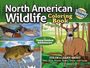 Editors of Design Originals: North American Wildlife Coloring Book for Young Outdoor Adventurers, Buch
