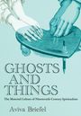 Aviva Briefel: Ghosts and Things, Buch