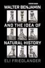 Eli Friedlander: Walter Benjamin and the Idea of Natural History, Buch