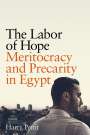 Harry Pettit: The Labor of Hope: Meritocracy and Precarity in Egypt, Buch
