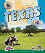 Ann Heinrichs: Texas, Buch