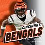 Marv Alinas: Cincinnati Bengals, Buch
