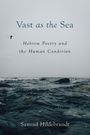Samuel Hildebrandt: Vast as the Sea: Hebrew Poetry and the Human Condition, Buch