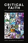 Joni Schwartz-Chaney: Critical Faith, Buch