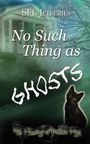 Sfl Jefferies: No Such Thing as Ghosts, Buch