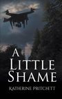 Text: „A Little Shame“, „Katherine Pritchett“. Eine Drohne fliegt über einen Wald bei Nacht.