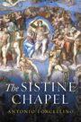 Antonio Forcellino: The Sistine Chapel, Buch