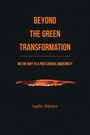 Ingolfur Bluhdorn: Beyond the Green Transformation, Buch