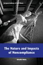 Edvaldo Moita: The Nature and Impacts of Noncompliance, Buch