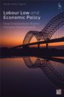 Adrián Todolí-Signes: Labour Law and Economic Policy, Buch