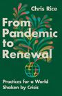 Chris Rice: From Pandemic to Renewal, Buch